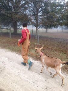 Farm Fit for Life Image